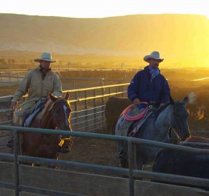 two men on horses 